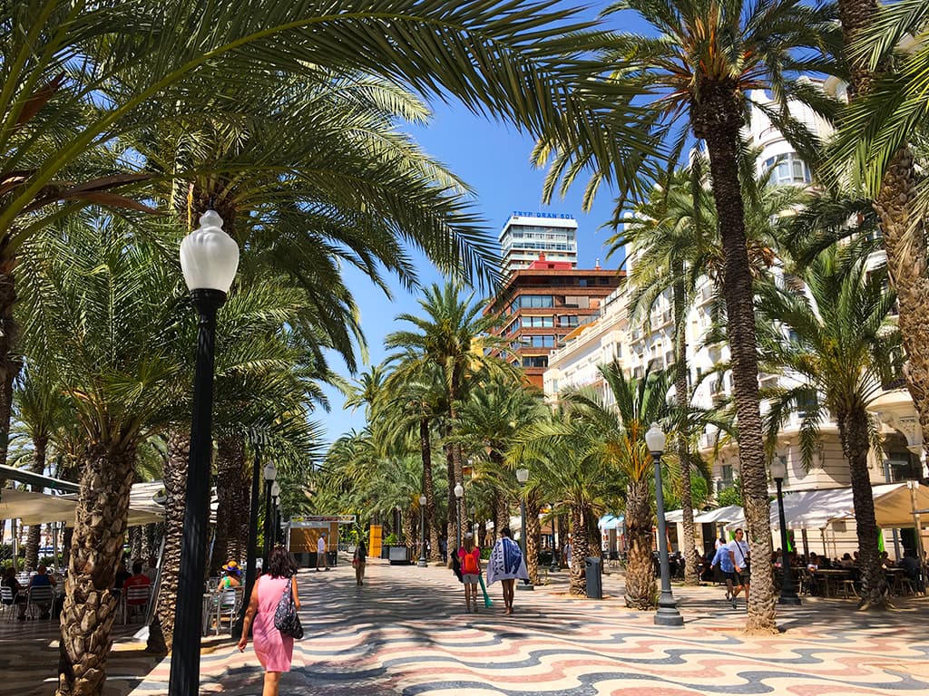Parc de Alicante avec palmier