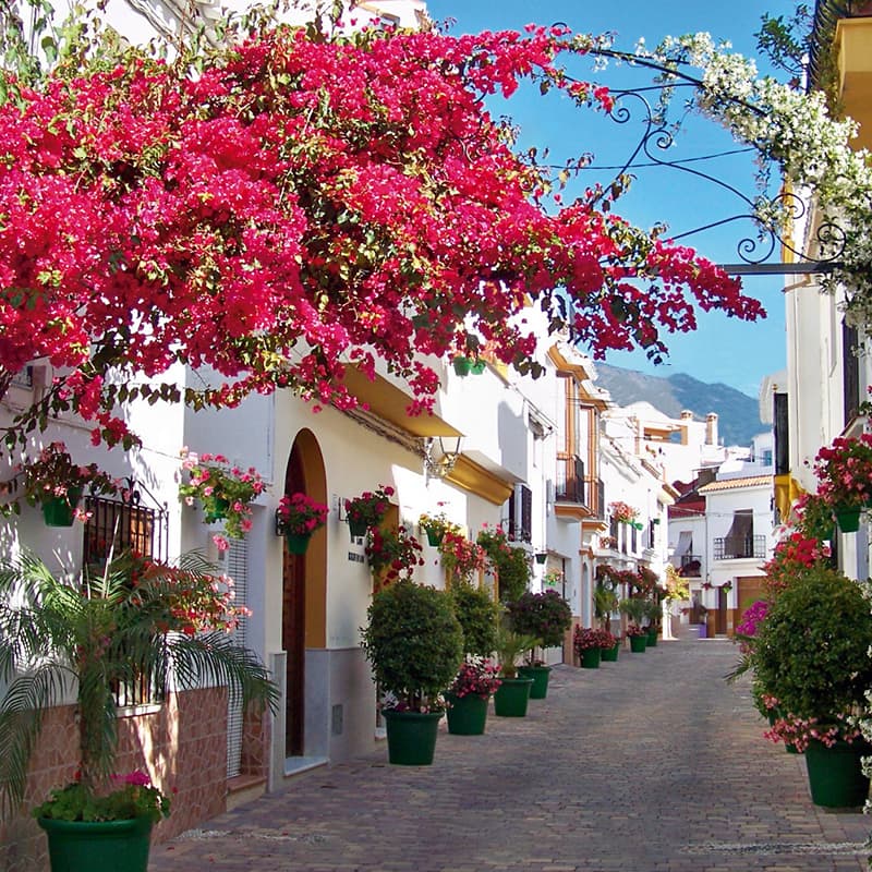 Ruelle de Estepona